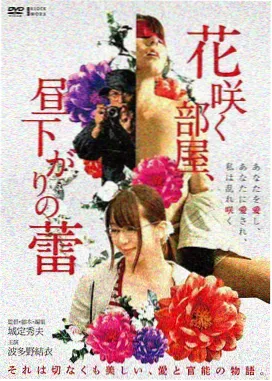 糖心特工电影海报